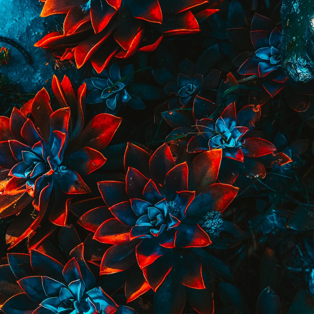 Home freelance artist floral 4